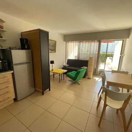 Apartamento Deux Pieces Avec Terrasse A 100m De La Plage, Animaux Admis - Fr-1-328-285