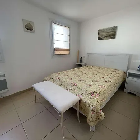 Deux Pieces Avec Terrasse A 100m De La Plage, Animaux Admis - Fr-1-328-285