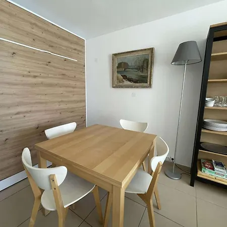 Deux Pieces Avec Terrasse A 100m De La Plage, Animaux Admis - Fr-1-328-285 Appartement *