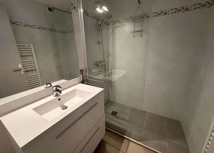 Apartamento Deux Pieces Avec Terrasse A 100m De La Plage, Animaux Admis - Fr-1-328-285